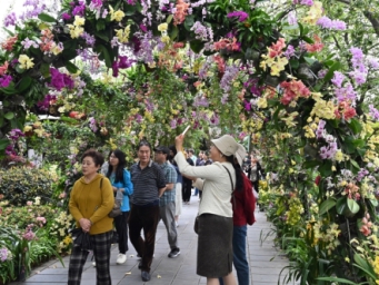 清明假期健康提示 重点预防6方面