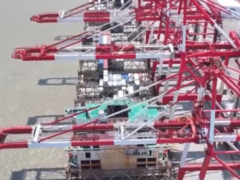 今年前5个月 上海自贸试验区进出口总值超9000亿元