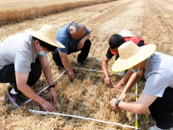 减损如增产 “三夏”机收减损一线观察